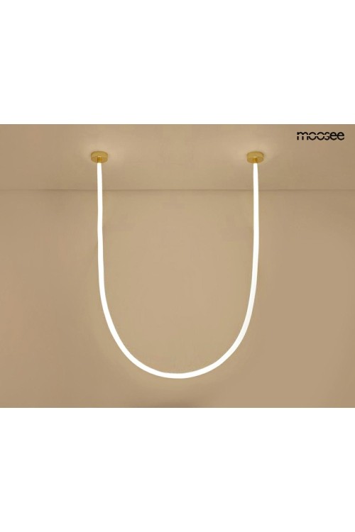 MSE1501100494_lasso600_2.jpg