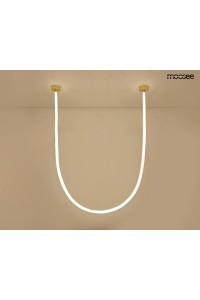 MSE1501100494_lasso600_2.jpg