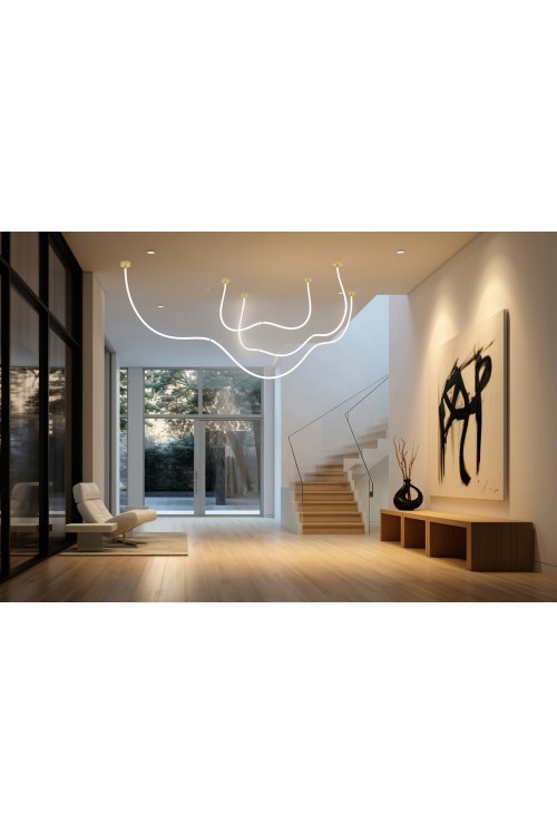 MSE1501100494_lassoaranzacja.jpg