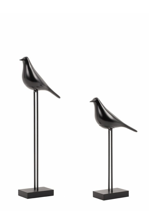 5900168836846_birdy.jpg