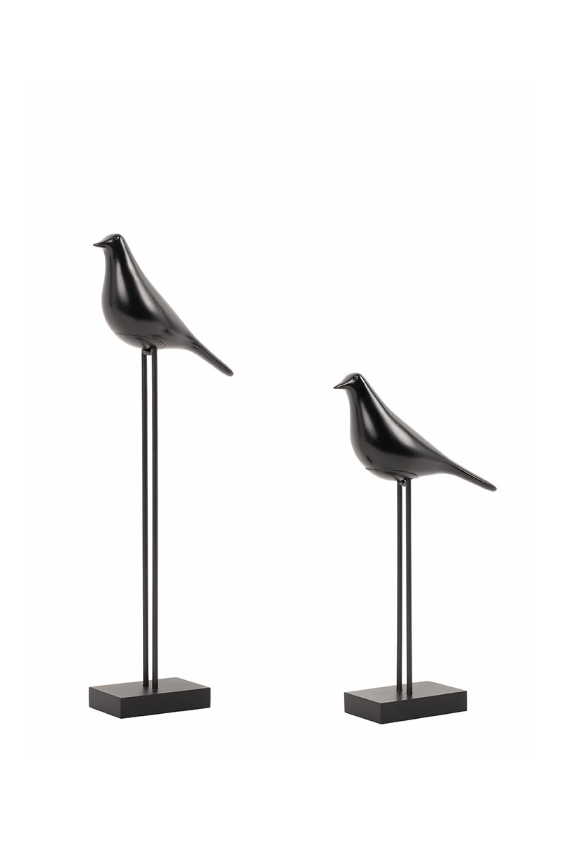 5900168836846_birdy.jpg