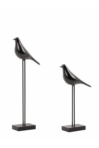 5900168836846_birdy.jpg