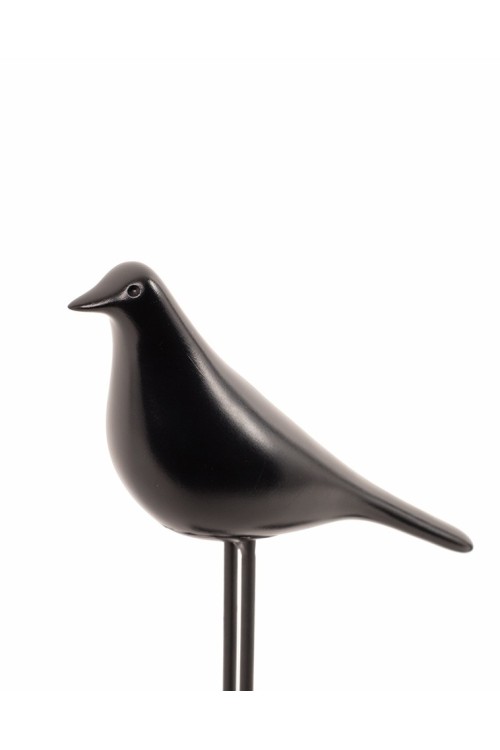 5900168836846_birdy2.jpg