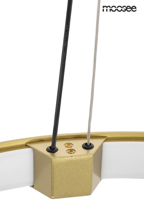 MSE010100161_circle_spot_gold_logo_6.jpg