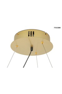 MSE010100161_circle_spot_gold_logo_9.jpg