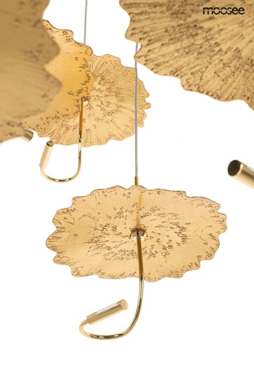 MSE1501100168_leafs_disc_5.jpg