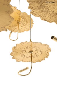 MSE1501100168_leafs_disc_5.jpg