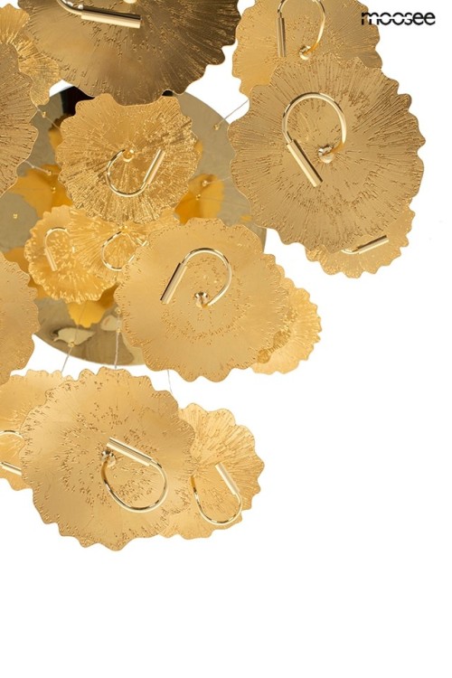 MSE1501100168_leafs_disc_6.jpg