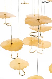 MSE1501100168_leafs_disc_8.jpg