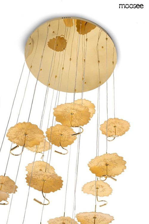 MSE1501100168_leafs_disc_9.jpg