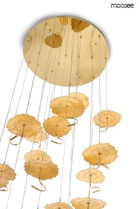 MSE1501100168_leafs_disc_9.jpg