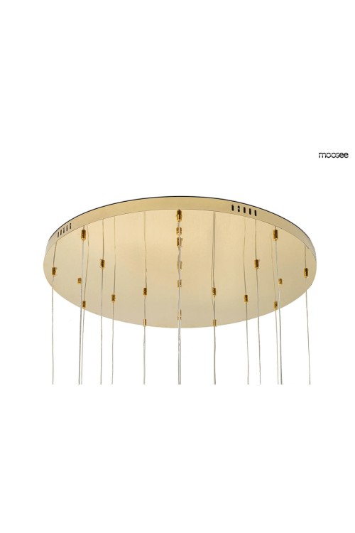 MSE1501100168_leafs_disc_10.jpg