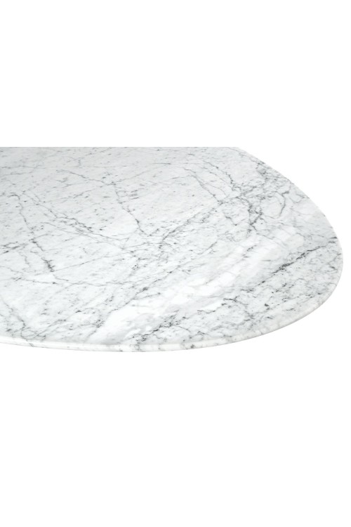KH1501100126_tulip_6.jpg