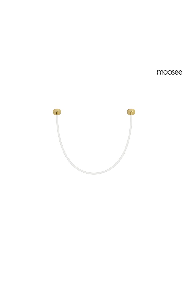 MSE1501100440_lasso200_1.jpg