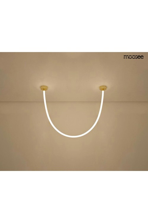 MSE1501100440_lasso200_2.jpg