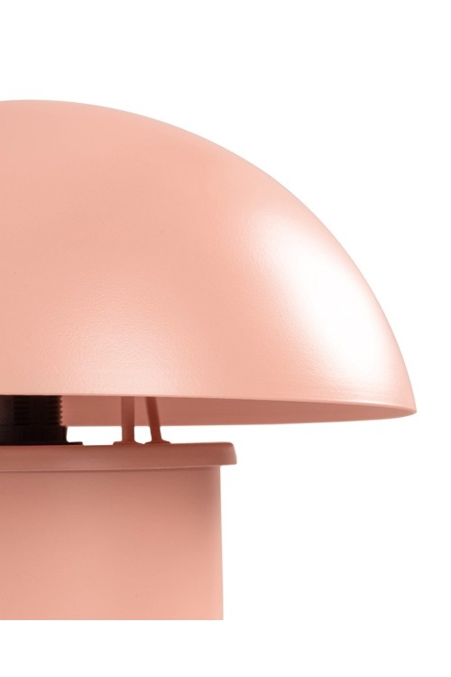 56505_mushroom_roz_3.jpg