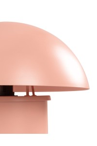 56505_mushroom_roz_3.jpg