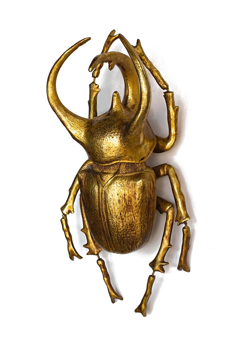 60489_atlas_beetle_1.jpg