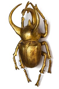 60489_atlas_beetle_1.jpg