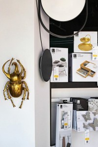 60489_atlas_beetle_2.jpg