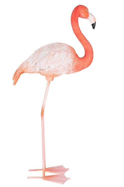 63946_flamingo_road_3.jpg