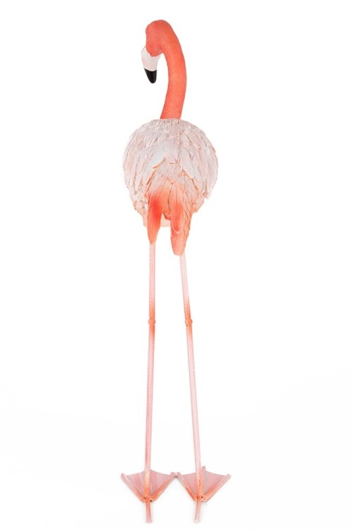 63946_flamingo_road_5.jpg