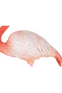 63946_flamingo_road_6.jpg