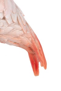 63946_flamingo_road_7.jpg