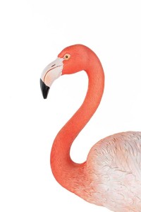 63946_flamingo_road_10.jpg