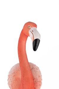 63946_flamingo_road_11.jpg