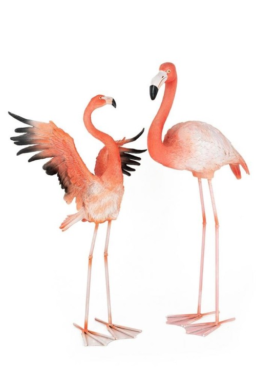 63946_flamingo_road_12.jpg