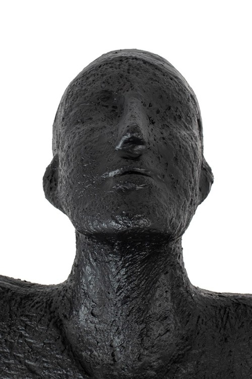 XCF8309_human_circulo_5.jpg