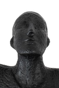 XCF8309_human_circulo_5.jpg