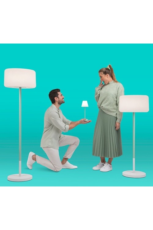 LUMCHLPLTSSNW_chloe-plant-1.jpg5_.jpg