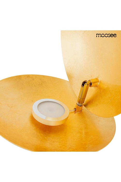 MSE010400203_eclise_nowy_w_8.jpg
