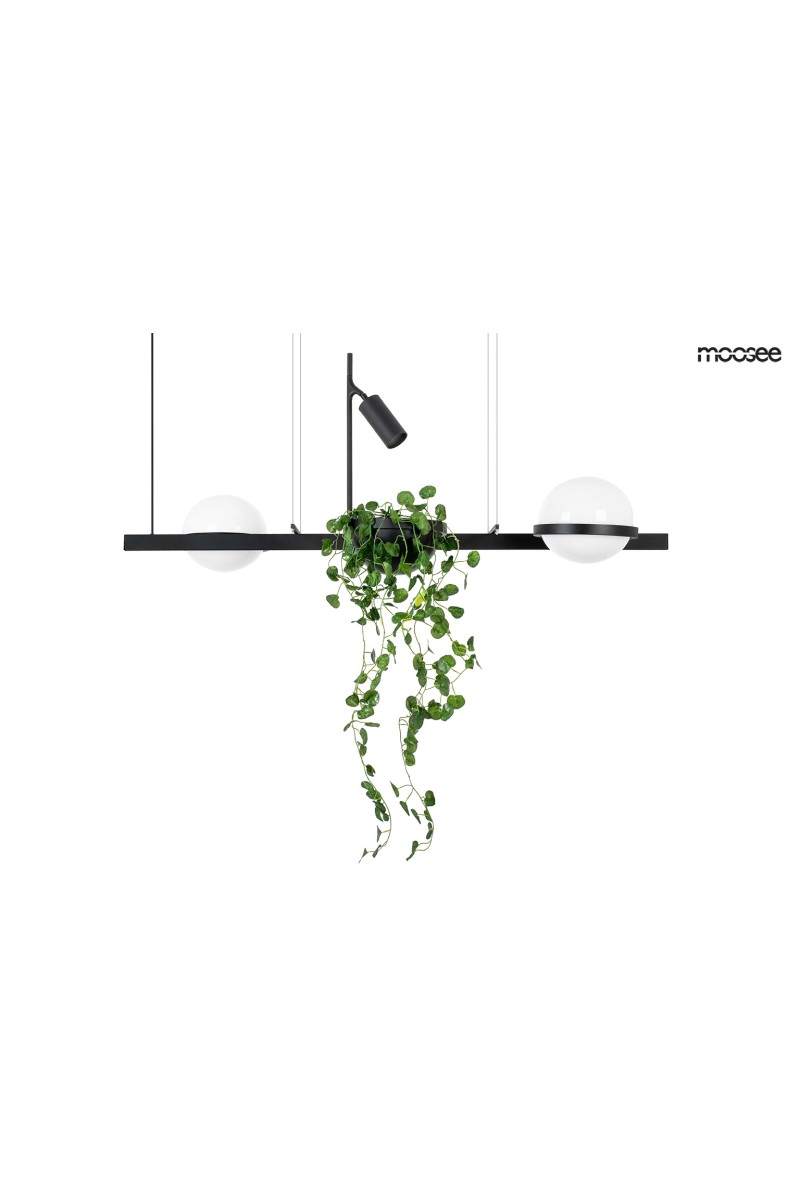 MSE010100156_plant_logo_1.jpg