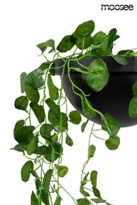 MSE010100156_plant_wall_logo_4.jpg