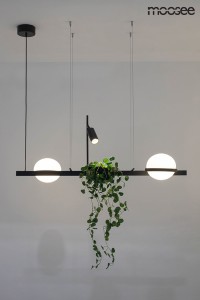 MSE010100156_plant_logo_13.jpg