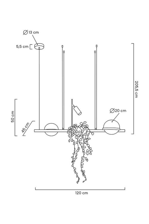 MSE010100156_plant.jpg