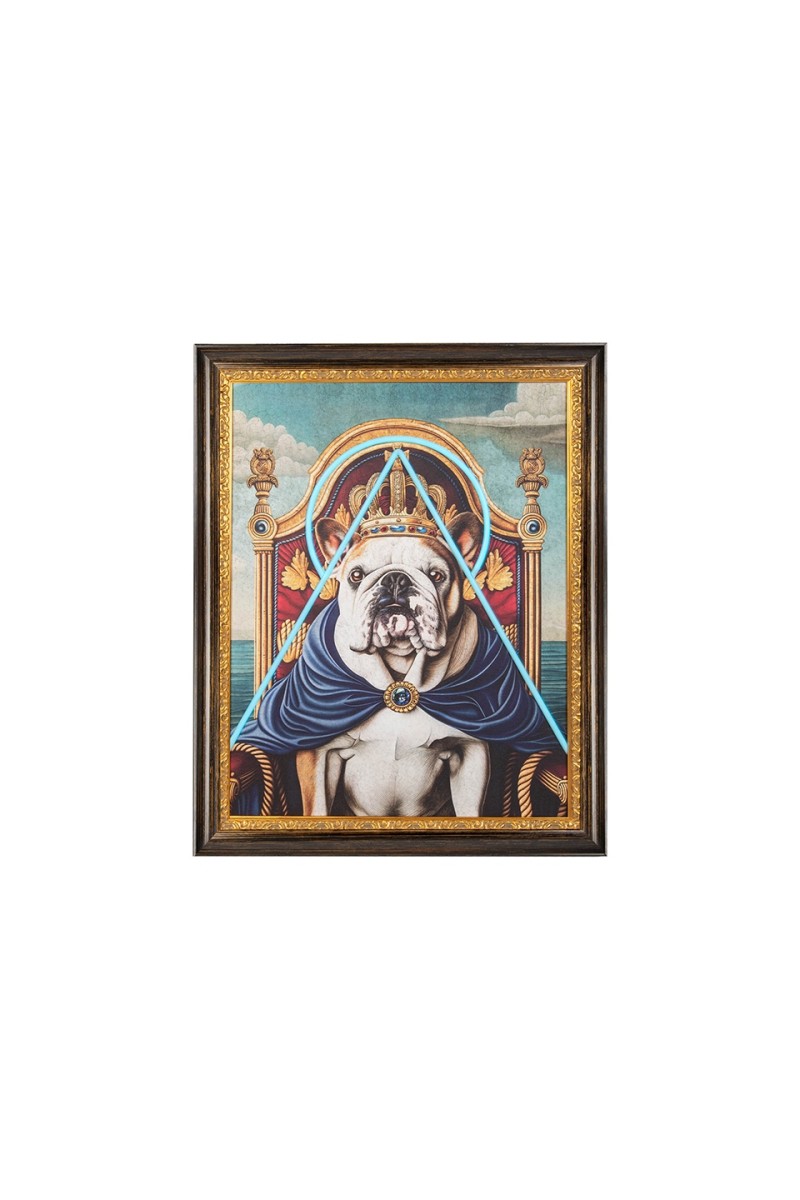 Obraz NEON BULLDOG 80x100 cm