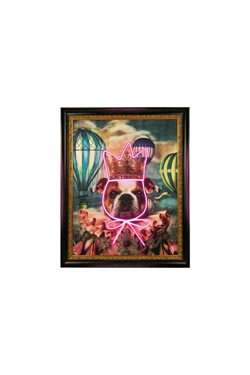 Obraz NEON BULLDOG BALOON 80x100 cm