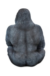 39378_gorilla_xl_76_3.jpg
