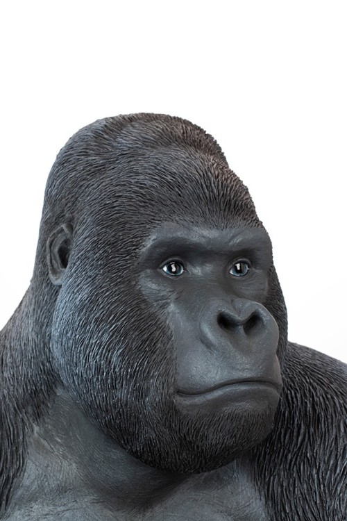 39378_gorilla_xl_76_4.jpg