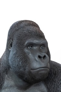39378_gorilla_xl_76_4.jpg