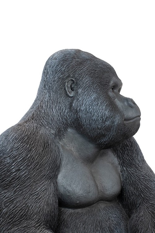 39378_gorilla_xl_76_5.jpg