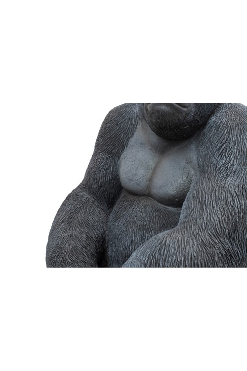39378_gorilla_xl_76_5_1.jpg