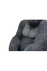 39378_gorilla_xl_76_5_1.jpg