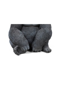 39378_gorilla_xl_76_6.jpg