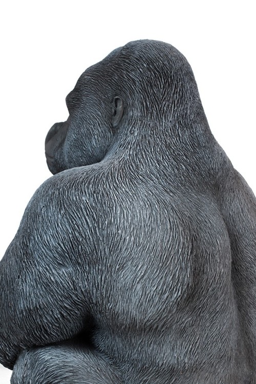 39378_gorilla_xl_76_7.jpg