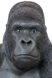 39378_gorilla_xl_76_7_1.jpg